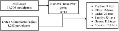 Association between gut microbiota and onset of type 2 diabetes mellitus: a two-sample Mendelian randomization study